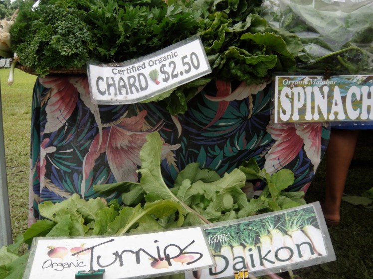 A Tropical Taste of my Travels- A Hawaiian Farmer's Market